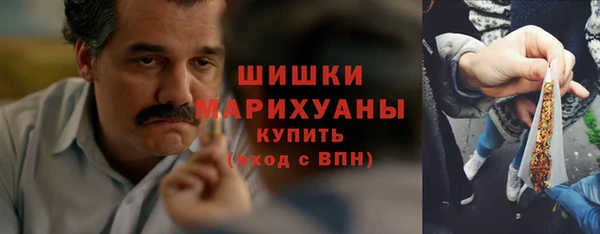 сатива Баксан