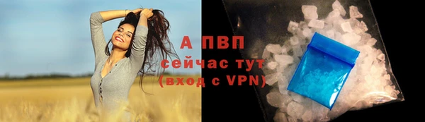 сатива Баксан