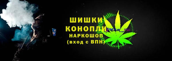 сатива Баксан