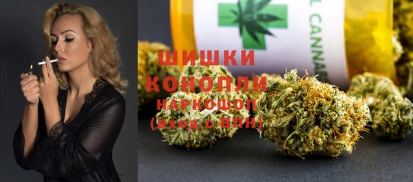 сатива Баксан