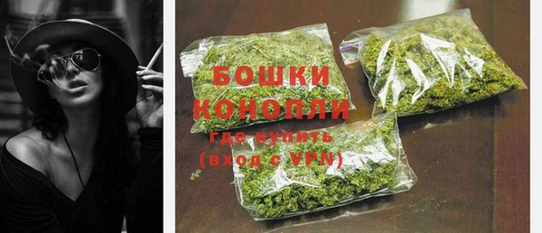 сатива Баксан